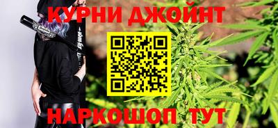 сатива Тверь