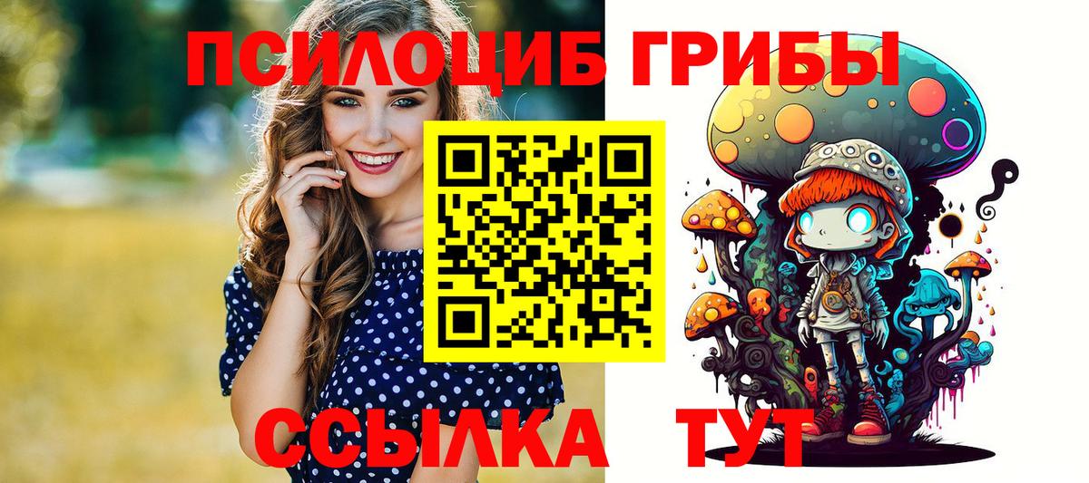 Псилоцибиновые грибы мухоморы Ногинск